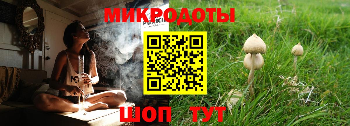 Галлюциногенные грибы Psilocybine cubensis Апатиты